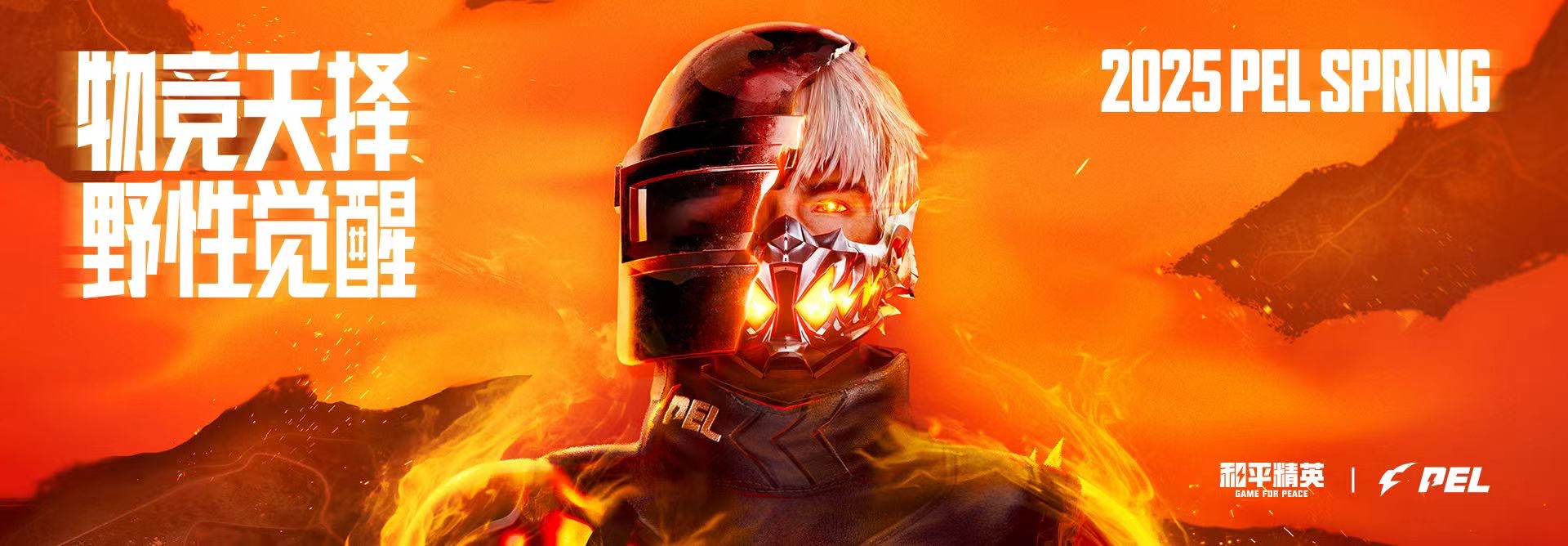 和平精英「小提琴」直装辅助